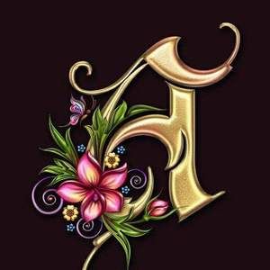 Meet your Posher, Andria lynette